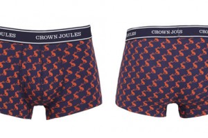 Crown Joules Underwear