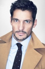 David Gandy