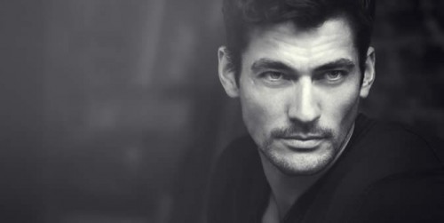 Model Profile: David Gandy